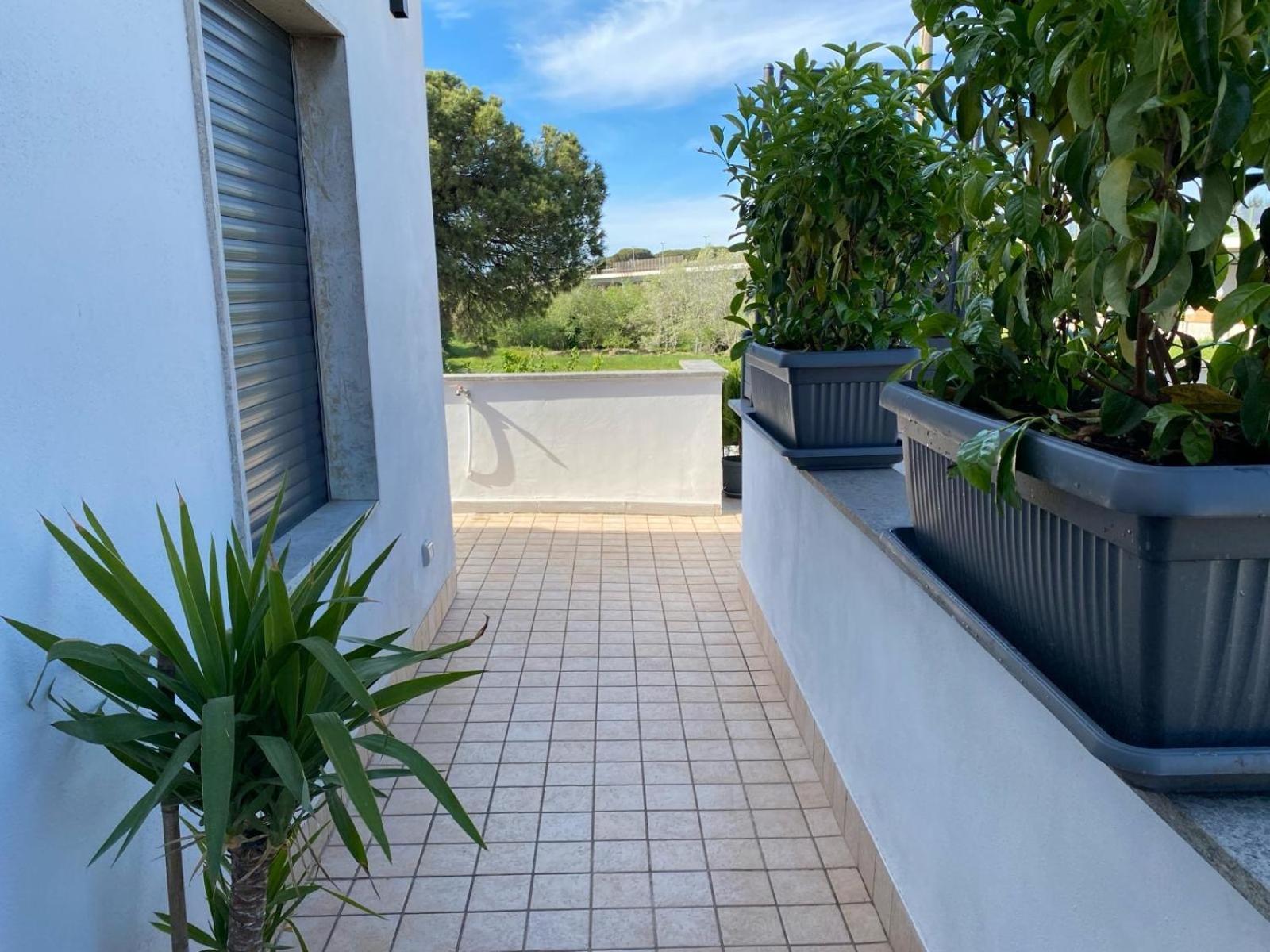 Apartament Fcoairporthouse Fiumicino Zewnętrze zdjęcie