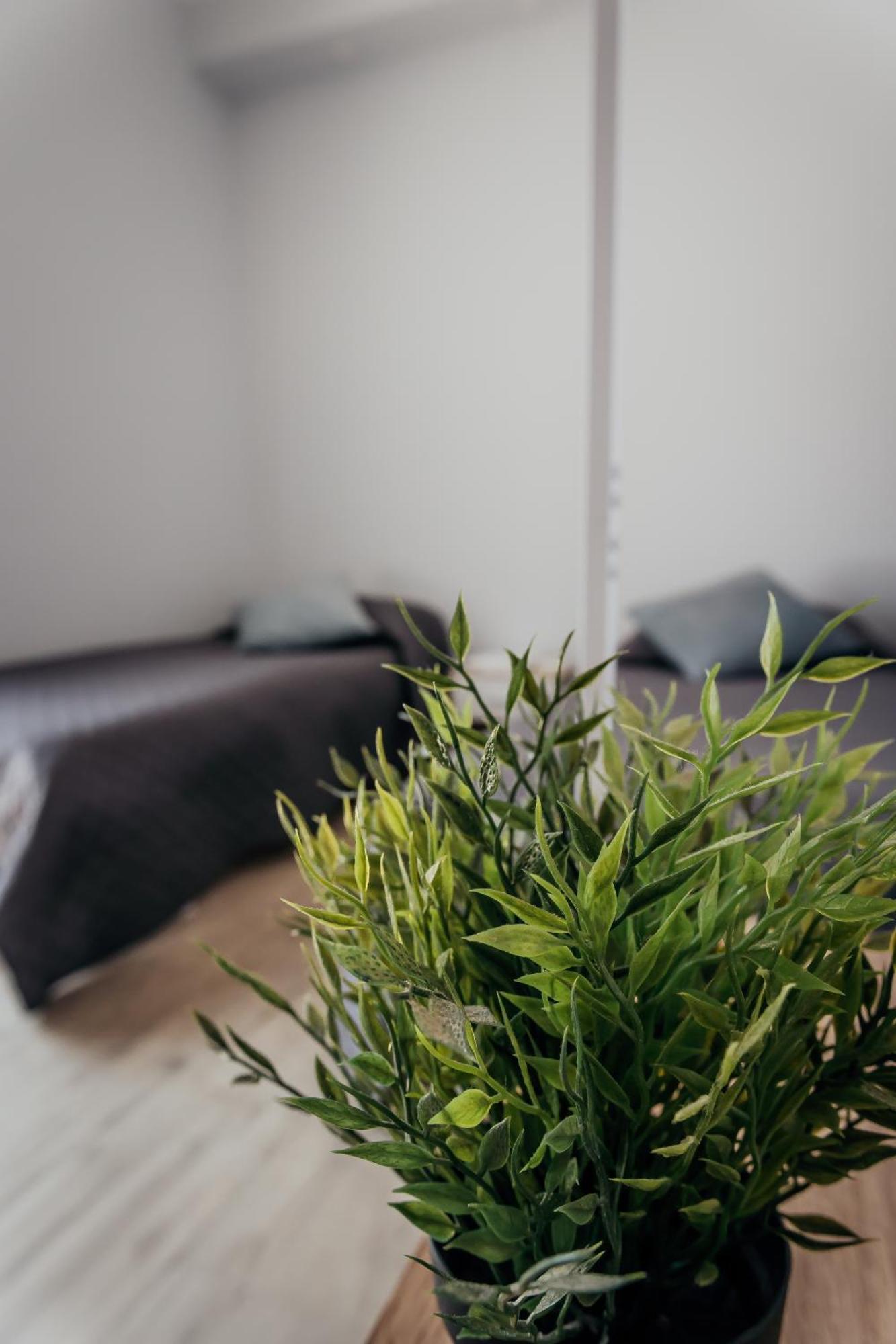 Apartament Fcoairporthouse Fiumicino Zewnętrze zdjęcie